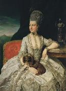 Johann Zoffany Erzherzogin Maria Christine France oil painting artist